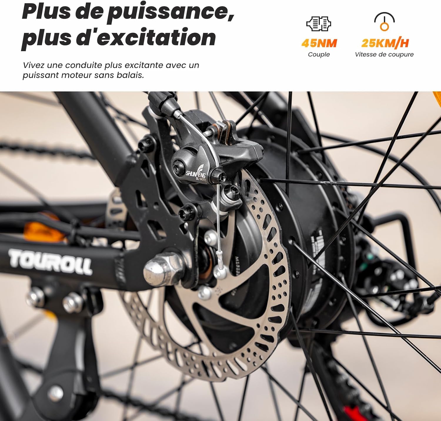 Touroll U1 Vélo Électrique, 26"/29" Vélo Électrique en Montagne pour Adulte, VTT électrique 250 W, Batterie Amovible 13AH, Autonomie 65 km, E-Bike 21 Vitesses