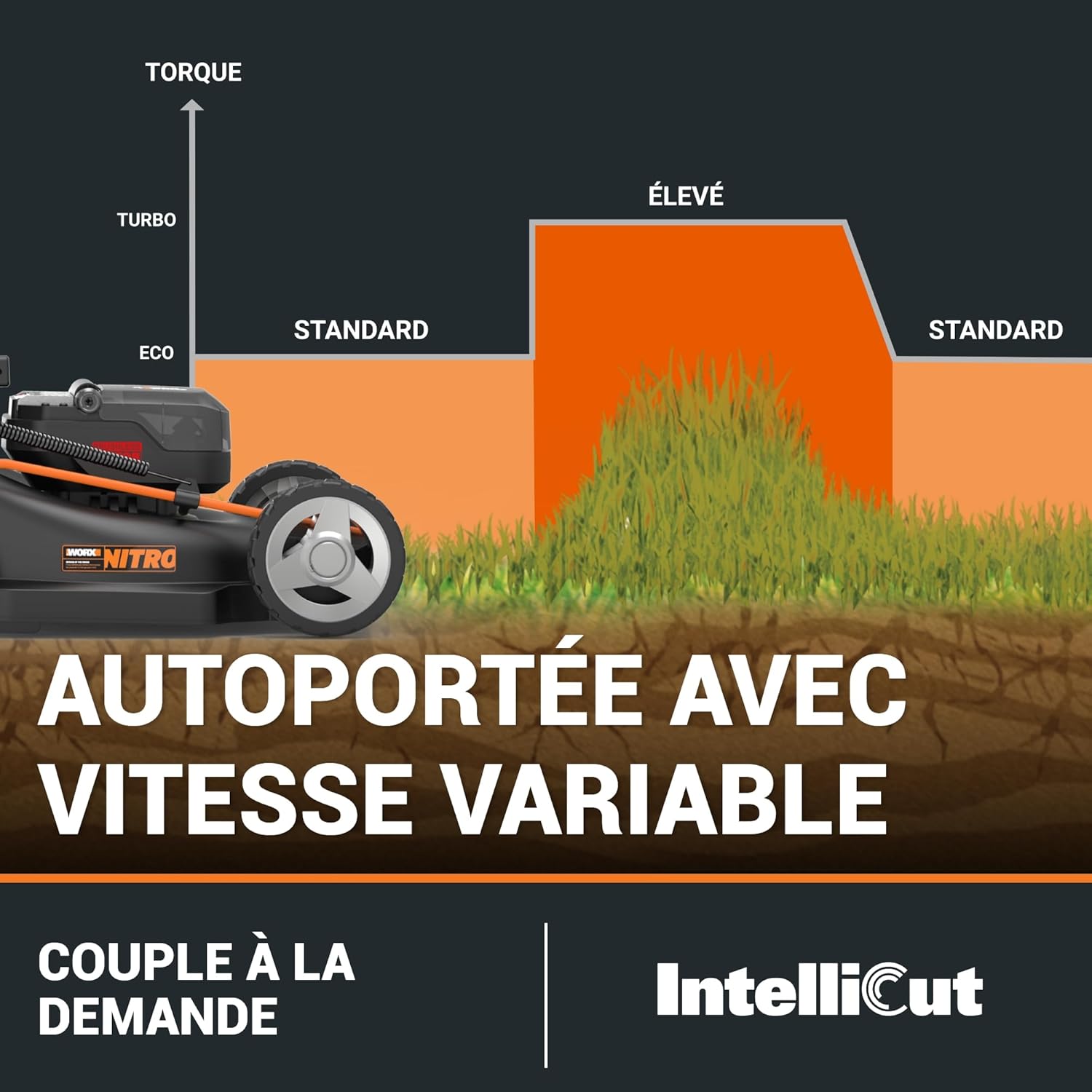 Pack Pro+ Tondeuse à Gazon 40V 460m² + Coupe-Bordures 20V + 2 Batteries 4Ah et 1 Batterie 2Ah + Chargeur Double et Chargeur Simple (Idéal pour l'Entretien du Jardin)