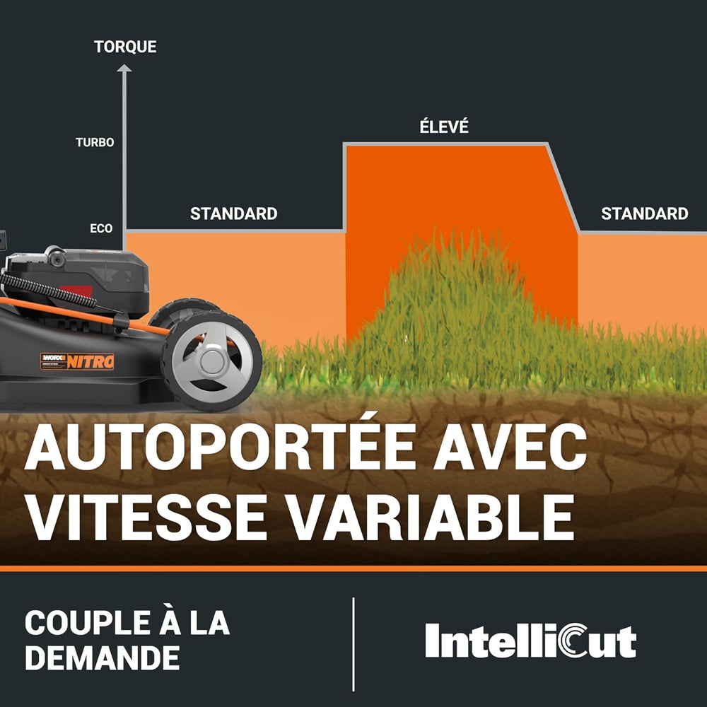 Pack Pro+ Tondeuse à Gazon 40V 460m² + Coupe-Bordures 20V + 2 Batteries 4Ah et 1 Batterie 2Ah + Chargeur Double et Chargeur Simple (Idéal pour l'Entretien du Jardin)
